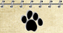 TheDawgPound